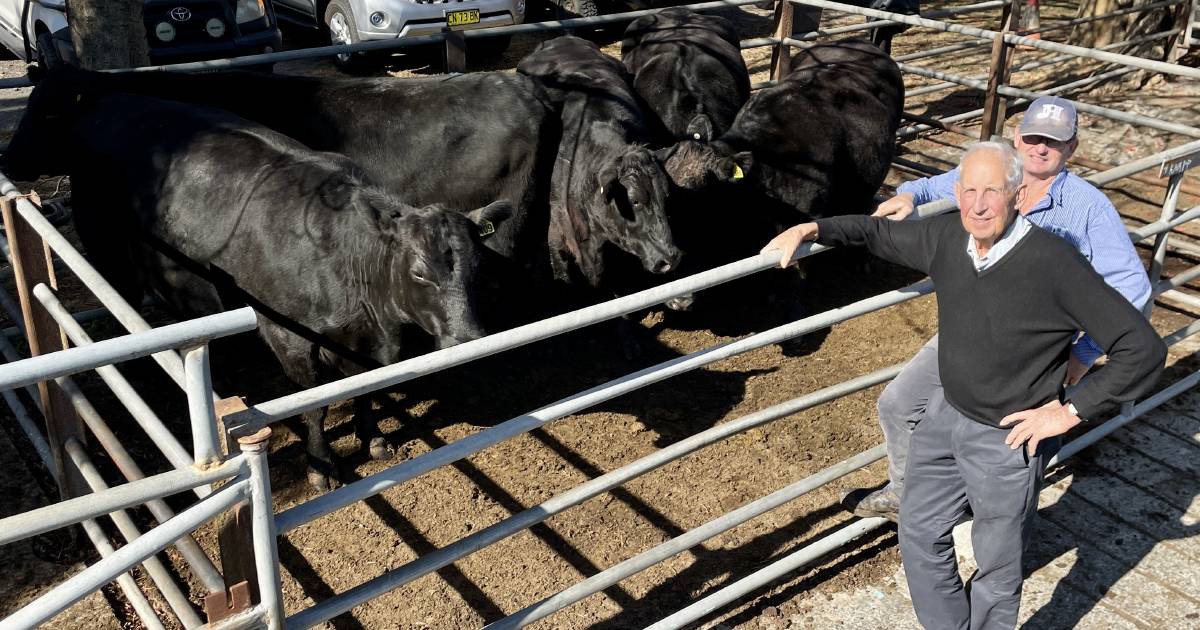 Angus steers sell to $1110 at Nowra