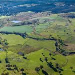 Gallery: Regional Australia turned green and gold for World Cup