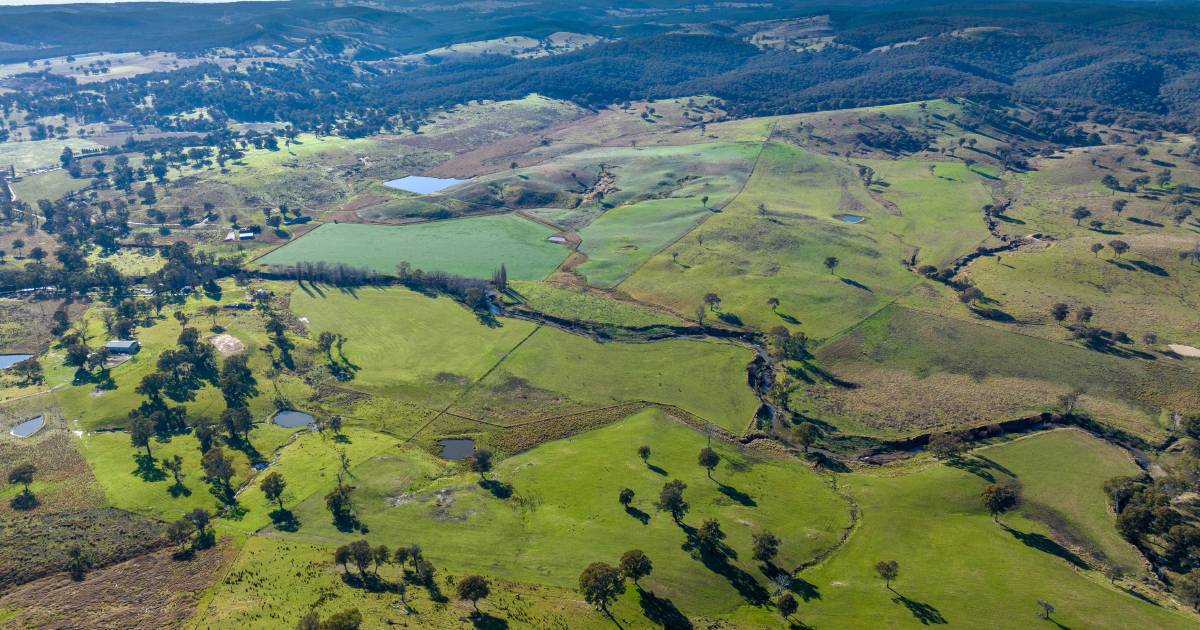 Extremely well watered, fertile valley grazing country | Video