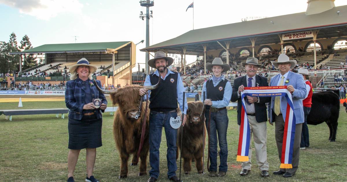 Highlands head north of the border to claim champion small breeds female