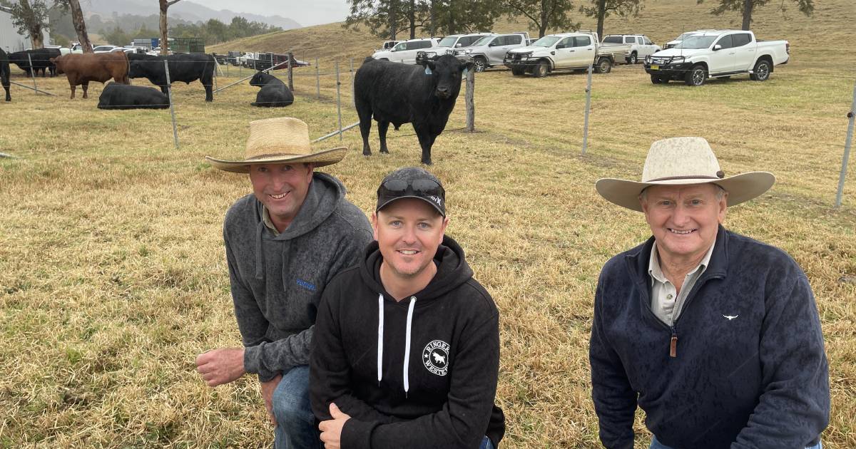 Pentire's HF Alcatraz bulls sell to $11,000