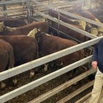 Six NABRC Medal winners saluted at Darwin’s Northern Beef Research conference