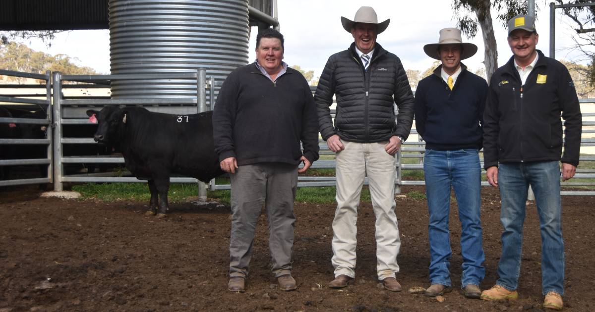 Yearling bull tops at $40,000 for Glenmorgan Angus.