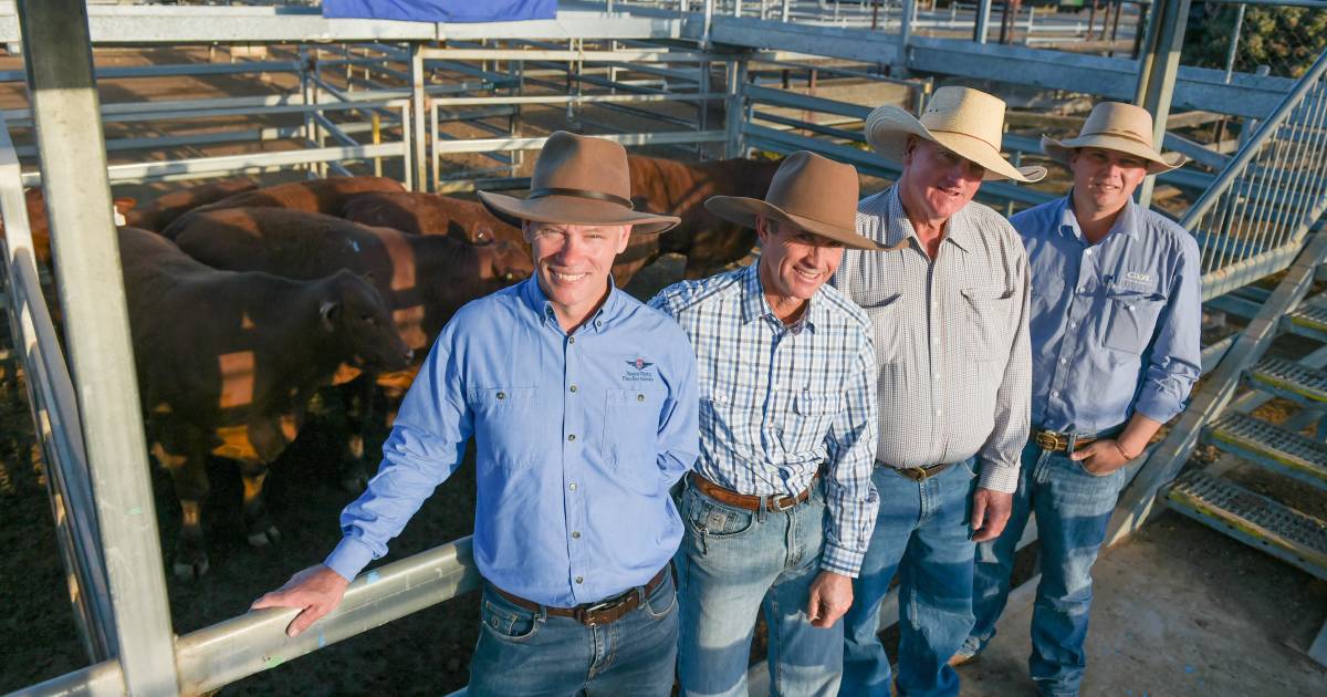 Reader walks away with half share in $15,240 pen of steers