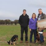 Booroomooka Angus stud clears 246 bulls