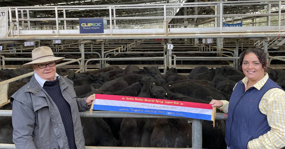 Best presented steers at Wangaratta sold for $1355, heifers $1030| Photos | The Land