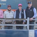 High-stakes wait for northern cattle industry