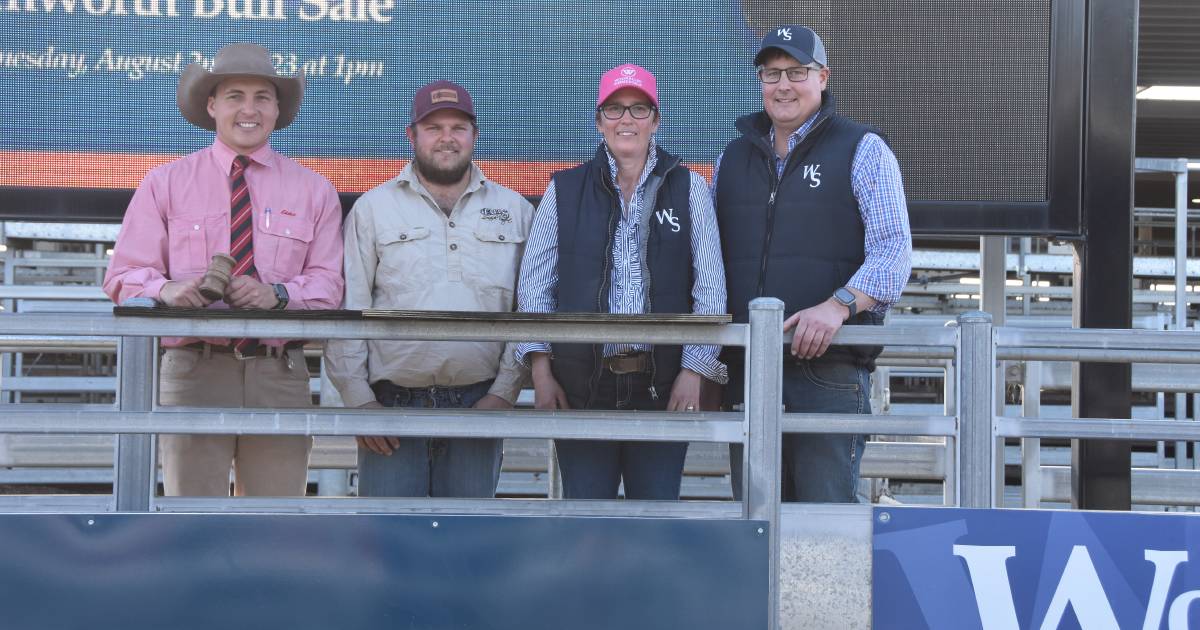 Woonalee Simmentals break records