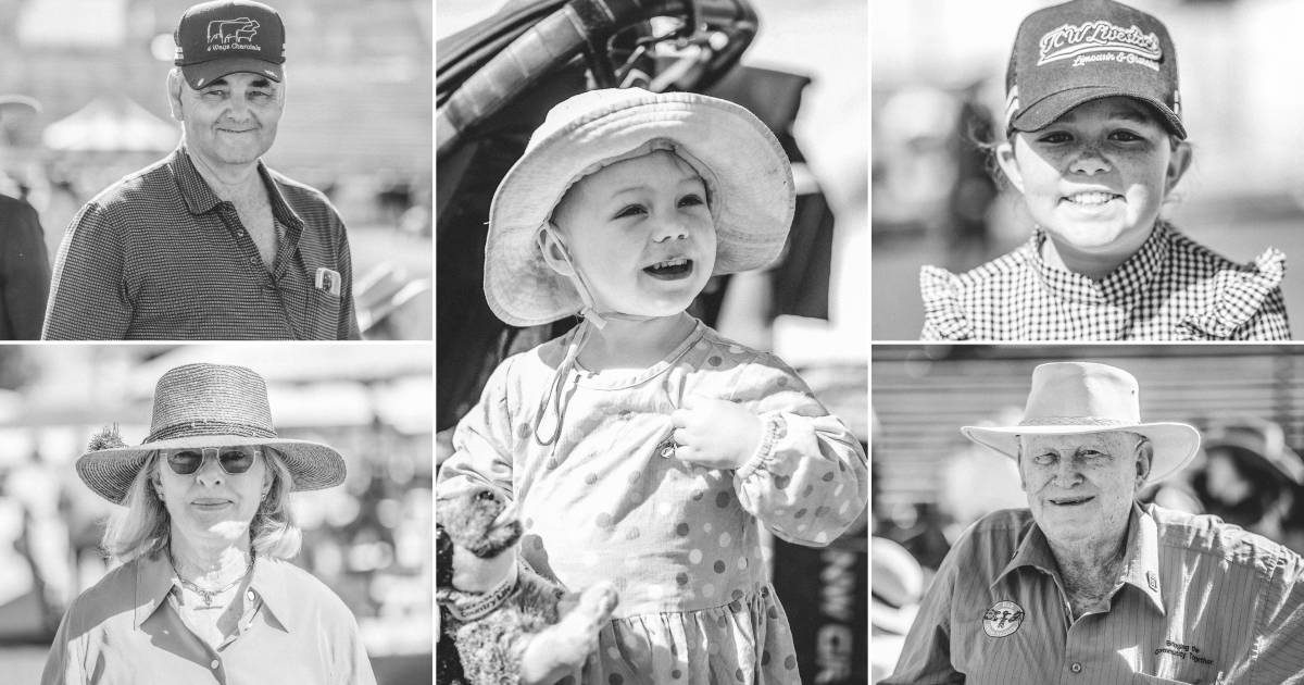 Ekka 2023: Fifty photos from around the stud cattle rings | The Land