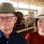 Banking on spring rain to keep cattle prices firm | The Land