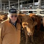 Beef Central 2024 US study tour: why Chicago is on the program