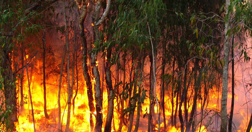 Average fire season expected across WA