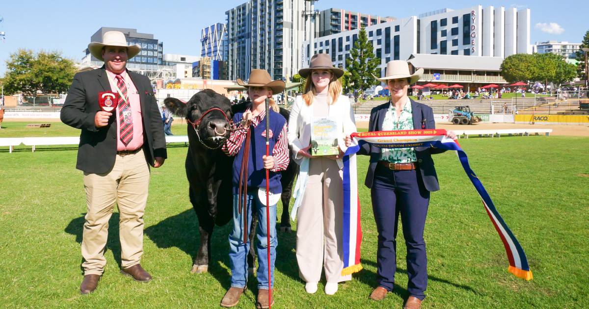 McUtchen family celebrating second big win of the day with South Devon bull