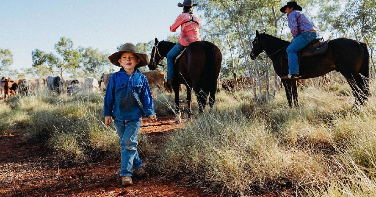 Mustering with kids at Gleeson Station