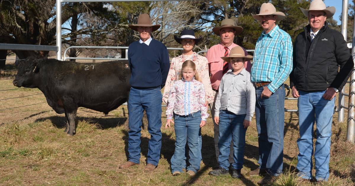 Eastern Plains Angus’ $12,031 average | The Land