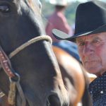 Southern Queensland feedlots and backgrounders active at Alice Springs