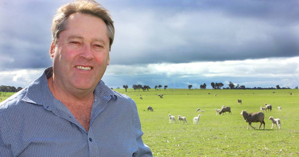 Live-sheep trade submission by WA government criticised | Farm Weekly