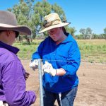 PTIC Charolais cows hit $1520 at Dunedoo