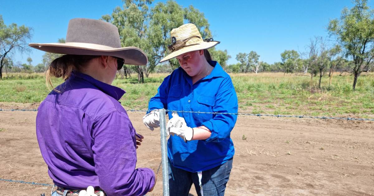 KAP’s Nick Dametto questions dismal numbers of students obtaining ag training qualifications across Queensland | Queensland Country Life