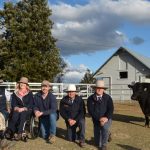 World's oldest cowboy, Bob, honoured at rodeo comeback at 92