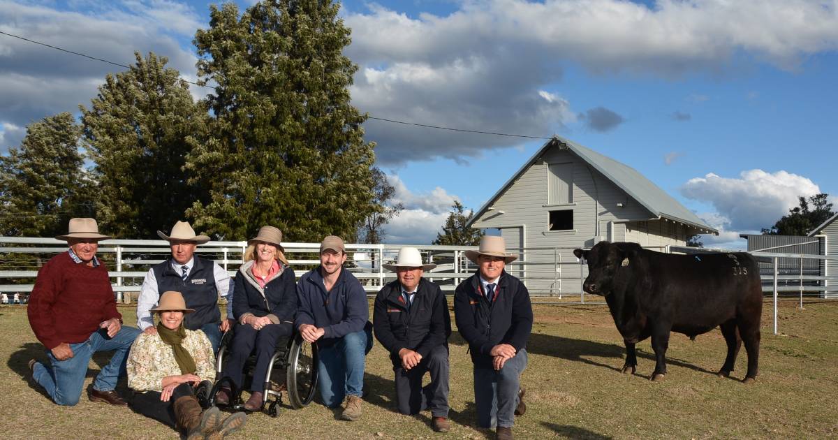 Booroomooka Angus stud clears 246 bulls