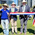 Ekka 2023: Meldon Park, KBV take top honours in Simmental ring | Queensland Country Life