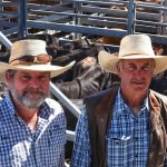 East cautious about live export future