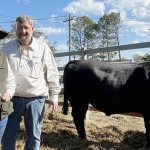 Adelaide to host hundreds of ag show volunteers