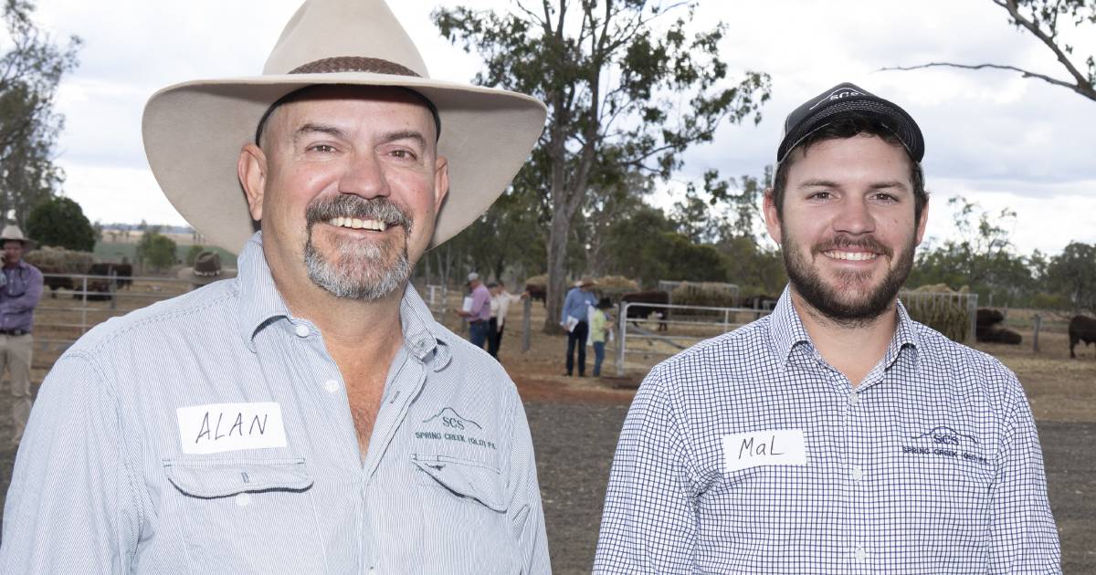 GALLERY | Seifert Belmont Reds bull sale