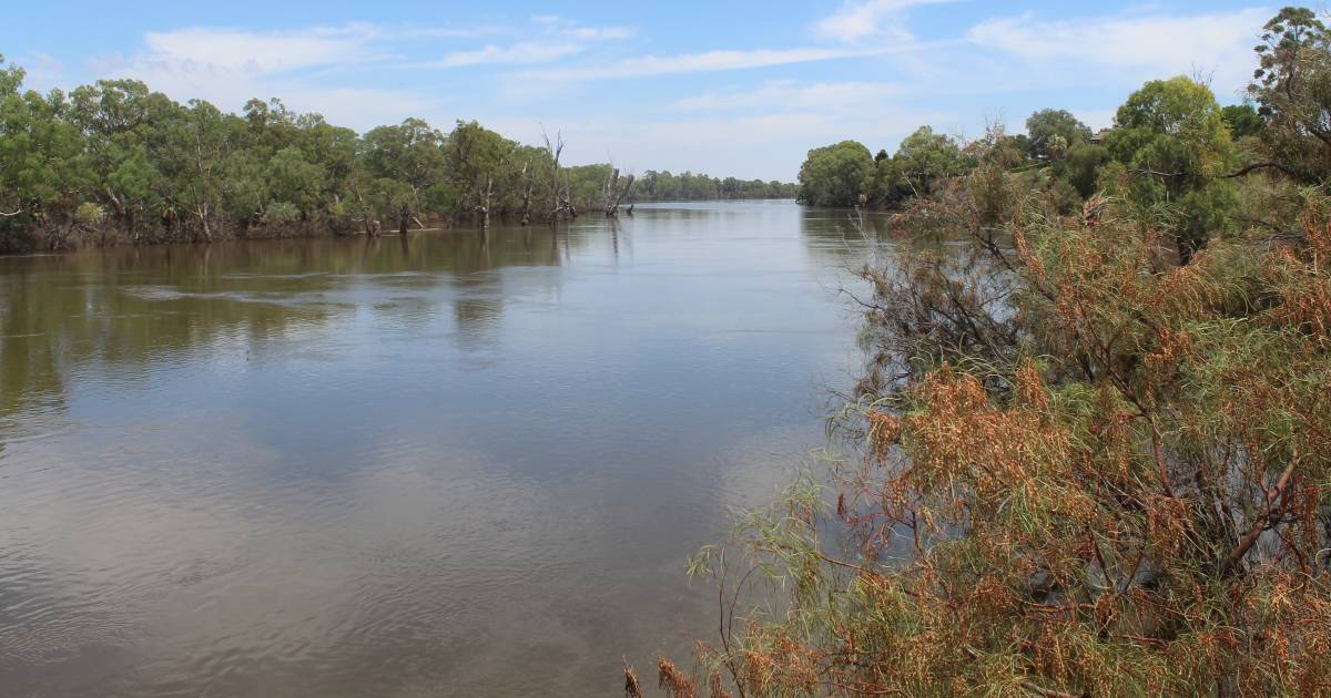 Murray-Darling Basin plan extension doesn’t fix flaws say irrigators | The Land