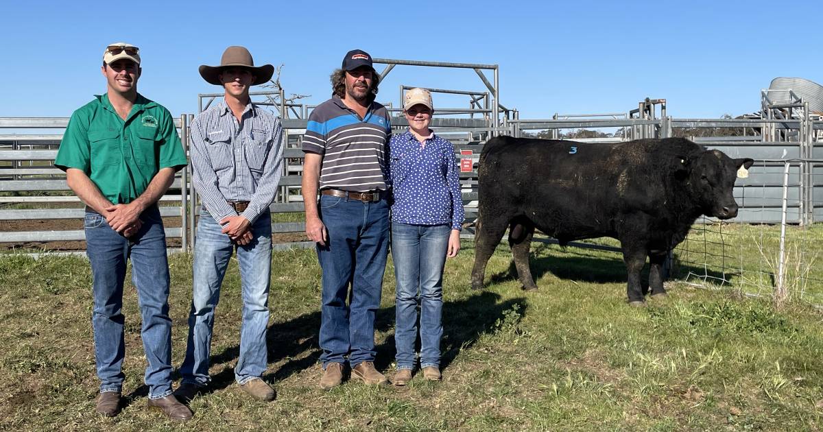 Narranmore Angus sale dominated by repeat buyers | The Land