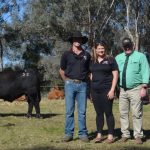 Bethel delivers Darling Downs perfection | Video