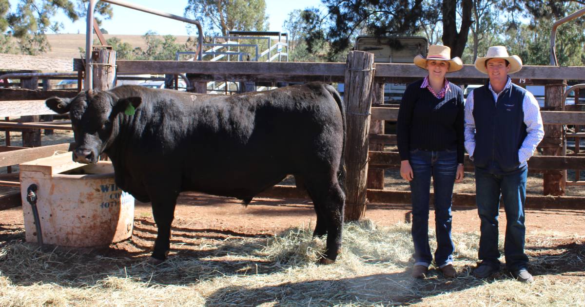 Local South Burnett cattlemen support the Coolabunia Aussie Angus and Brangus sale