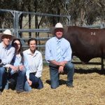 Wheatbelt group explores the role of legumes in the farming system