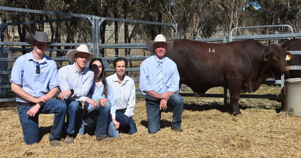 Watasanta top bull on its way to the sunshine state. | The Land