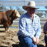 Maranoa buyers pay up at Graneta Angus sale