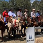 Light weaner steers improve by up to 40c/kg at Eidsvold