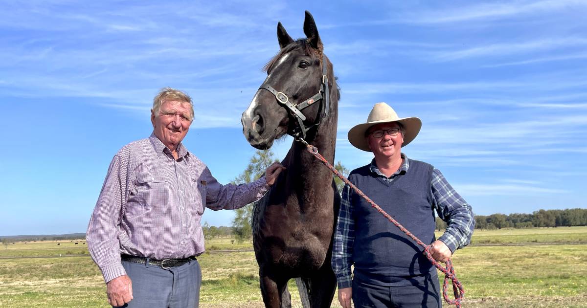 John Bennett on his path to RAS president and what drives the South Coast farmer and businessman | The Land