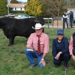 Central Queensland commercial cattleman volume buyer at Gold Crest Limousin sale | Queensland Country Life