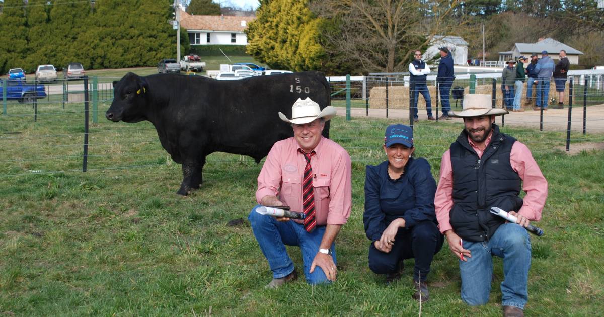 Good demand as Karoo Angus sells to $20,000