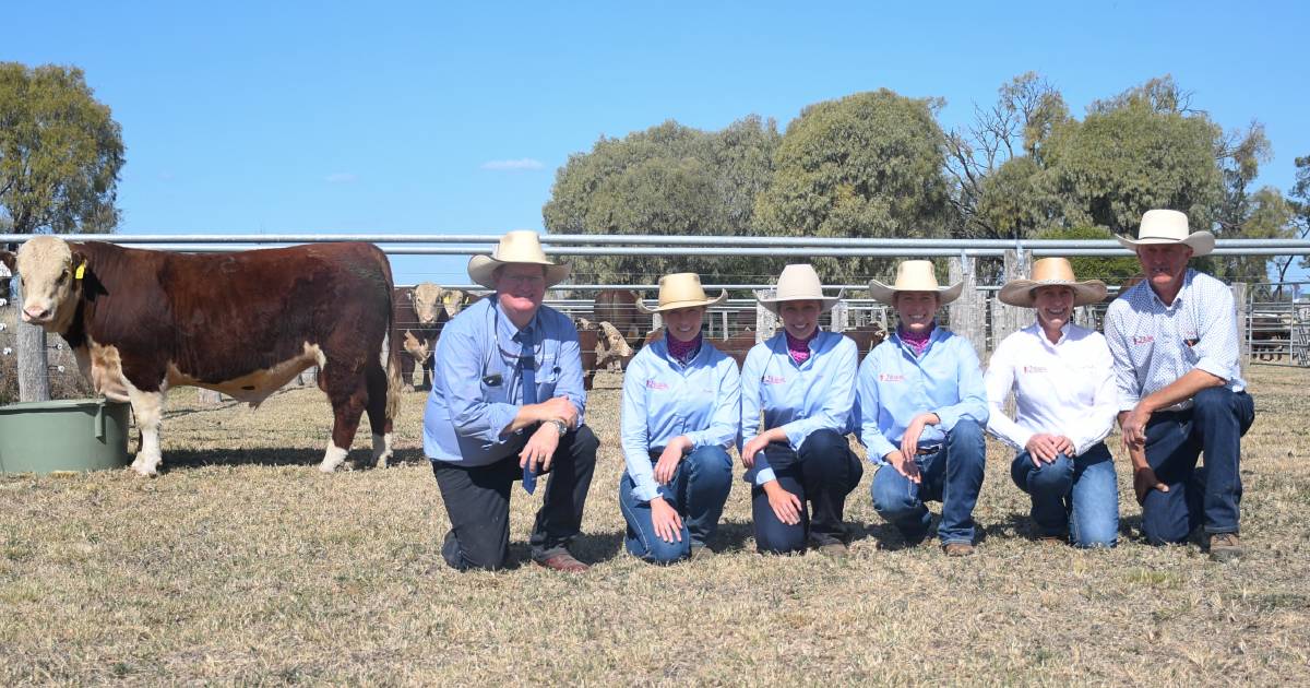 Talbalba Herefords hits six figure top price | Queensland Country Life