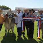 New manual for phosphorus: the cause of, and solution to, many northern cattle problems