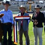 Oakey Creek top bull en route to Western Australia