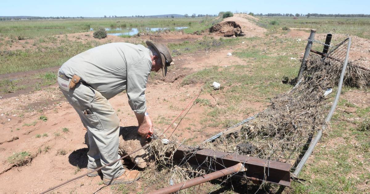 It's no accident – farm insurance costs leap as weather takes a toll