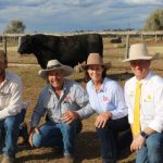 Sunsberry shines through at Temania Angus sale | The Land