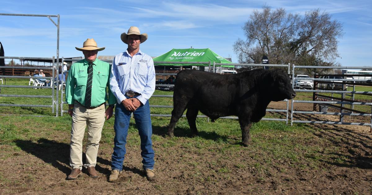 Milong Squire tops the sale at $10,000 and is headed north