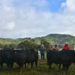 AgQuip Agribuzz hears from Elders CEO Mark Allison | The Land