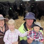 Steers at Tumut sell to $1360 | The Land