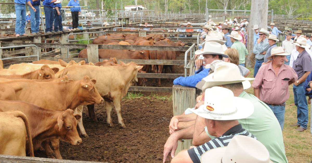 Eidsvold market 'tougher'