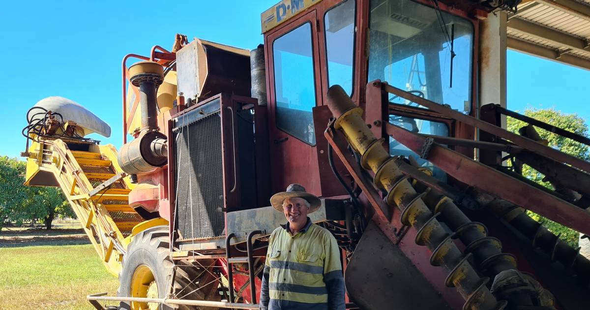 Burdekin farmer's sweet dream for harvester